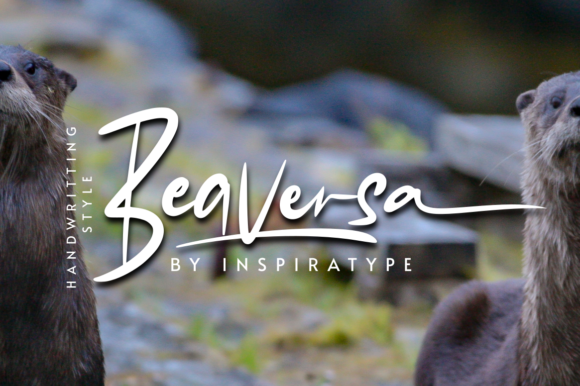 Beaversa: A Relaxed Handwritten Font for Clear, Friendly Campaigns