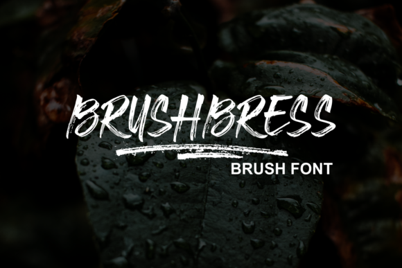 Brushbress Font for Creative Brands