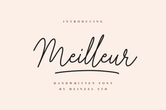 Meilleur Font: A Dainty, Elegant Script Handwritten Typeface