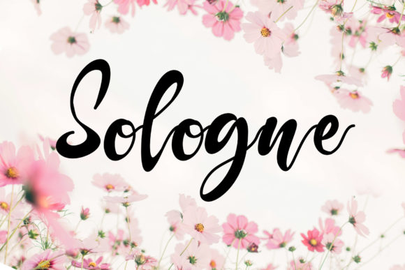 Sologne: An Elegant Script Handwritten Font for Thoughtful Design